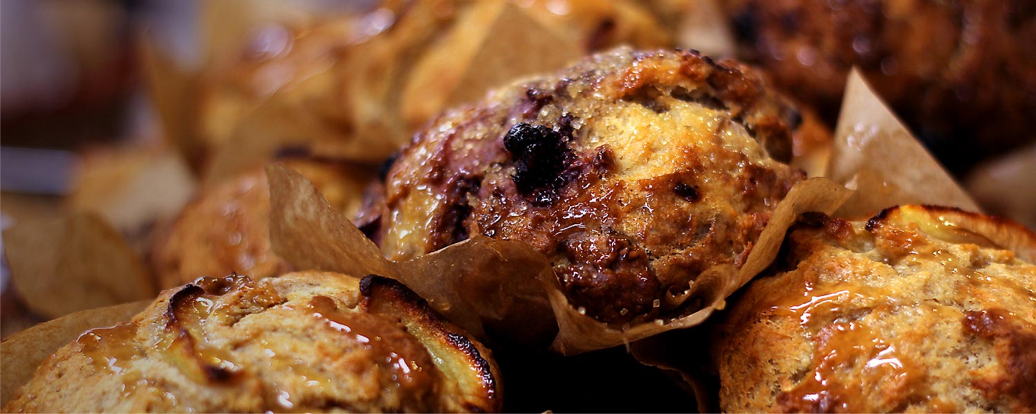 TheShellCenter-Muffins