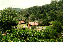 costa-rica-la-amistad