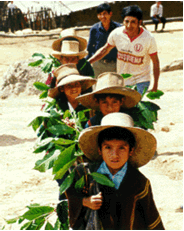 peru-andes-gold